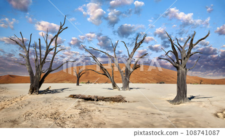 Dead Vlei - Namib Desert - Namibia Dead Vlei - Namib Desert - Namibia 108741087