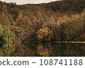 Autumn pond 108741188