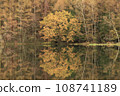 Fall pond of autumn 108741189