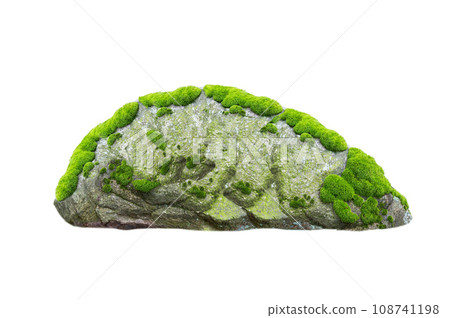 stone covered with moss isolated on white background stone covered with moss isolated on white background 108741198