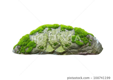 stone covered with moss isolated on white background 108741199