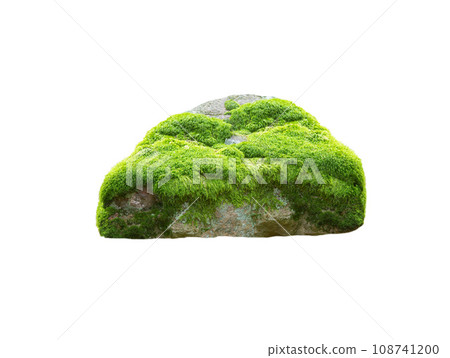 stone covered with moss isolated on white background 108741200