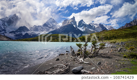 Torres del Paine National Park - Patagonia - Chile 108741429