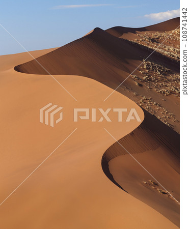 Sand dunes in the Namib Desert - Namibia Sand dunes in the Namib Desert - Namibia 108741442