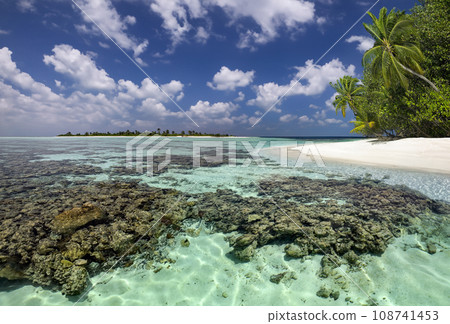 Tropical Paradise - Maldives - Indian Ocean 108741453