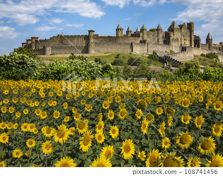 Medieval Citadel of Carcassonne - France 108741456
