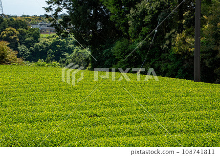 從牧之原服務區看到的風景 108741811