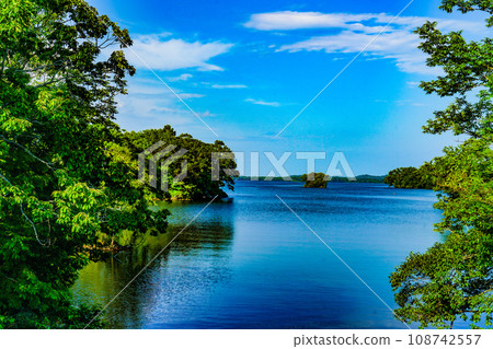 大沼國定公園的夏天 大沼國定公園的夏天 108742557