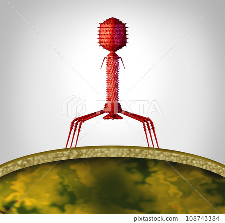 Phage Concept 108743384