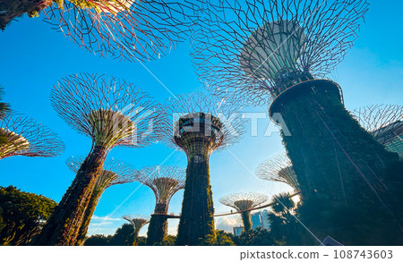 Gardens by the Bay Singapore 108743603