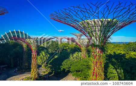 Gardens by the Bay Singapore trip 108743604