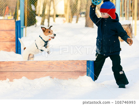 How to train a dog to jump a hurdle How to train a dog to jump a hurdle 108746993