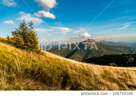 Polonina Wetlinska, Bieszczady mountain, Bieszczady National Park, Poland. 108750169