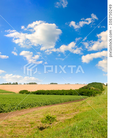 Farm fields and blue sky with beautiful clouds Vertical photo. Farm fields and blue sky with beautiful clouds Vertical photo. 108750249