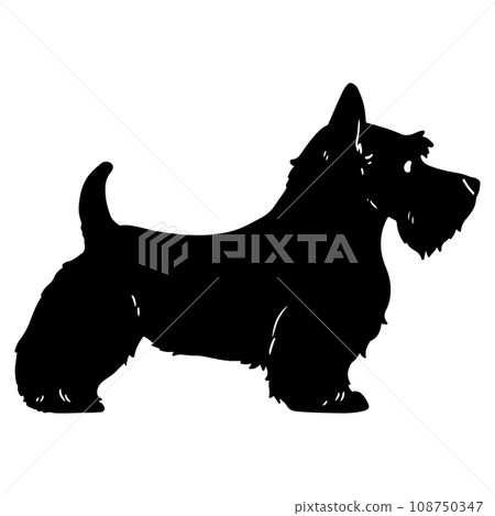 Scottish terrier silhouette with face Scottish terrier silhouette with face 108750347