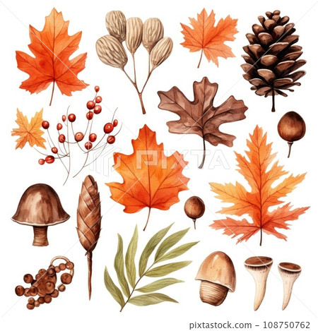 set of watercolor leaves mushrooms and berries on white 108750762