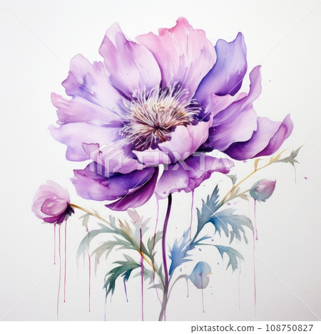 watercolor flower illustration with splashes on a white background. 108750827
