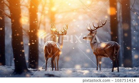 Couple of deer in winter forest on the background of sun glare. Couple of deer in winter forest on the background of sun glare. 108751414