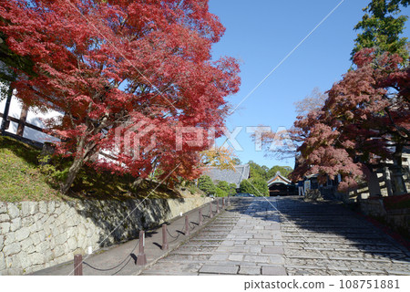 京都左京區黑谷區近海光明寺的秋葉 京都左京區黑谷區近海光明寺的秋葉 108751881
