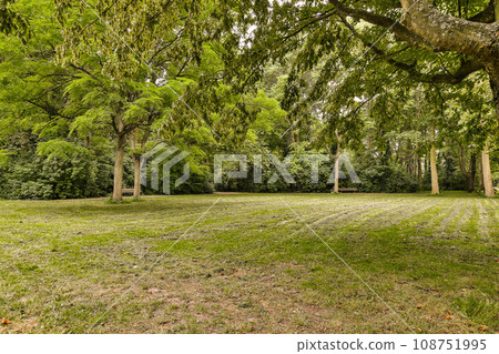 an empty grassy field with trees and grass in the foreground stock image for commercial use only on this site 108751995