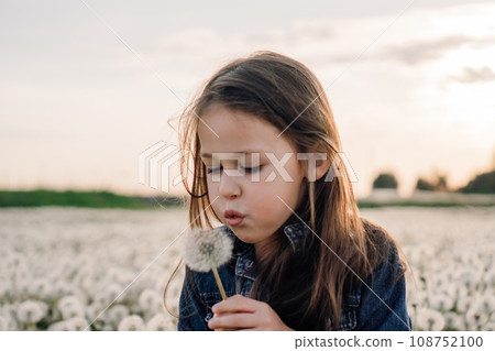 Adorable little lady standing in meadow full of white dandelions with one flower in hand, going to blow fluffy seeds. Adorable little lady standing in meadow full of white dandelions with one flower in hand, going to blow fluffy seeds. 108752100