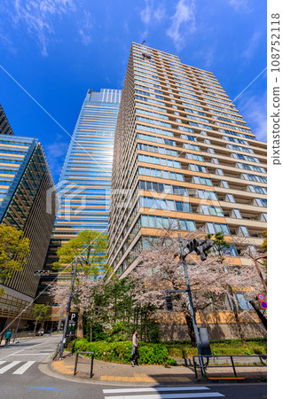 東京、港區、赤坂、東京中城和櫻花盛開 108752118