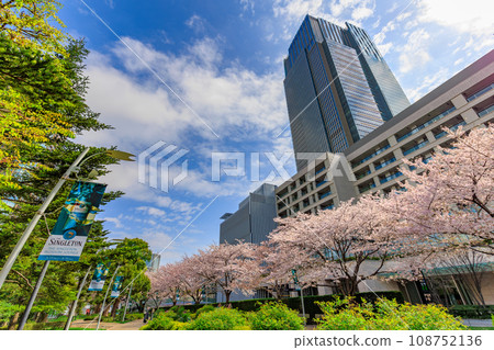 Tokyo, Minato-ku, Akasaka, Tokyo Midtown and cherry blossoms in full bloom 108752136