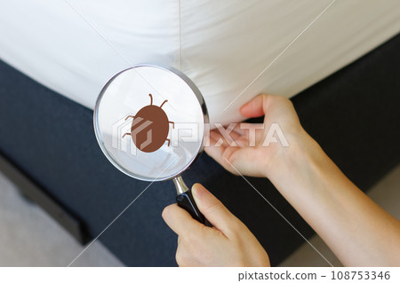 A woman's hand inspecting a bed mattress for pests 108753346