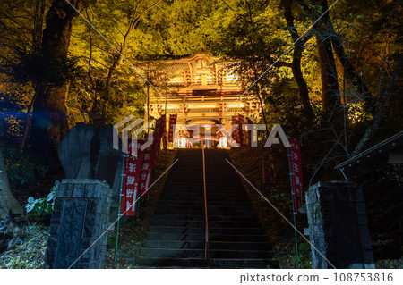 Illuminated Mizusawa Kannon's Niomon Illuminated Mizusawa Kannon's Niomon 108753816