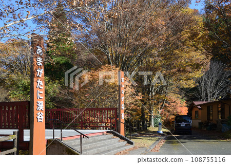 Autumn leaves in Amagatani Valley 108755116
