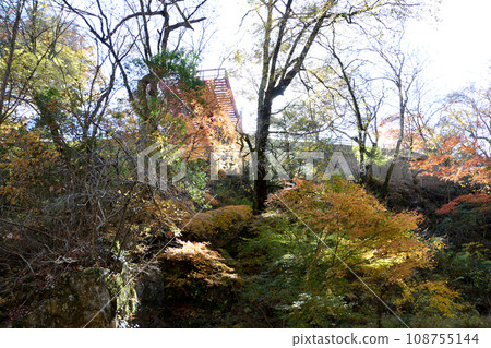 Autumn leaves in Amagatani Valley Autumn leaves in Amagatani Valley 108755144