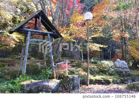 Autumn leaves in Amagatani Valley Autumn leaves in Amagatani Valley 108755146