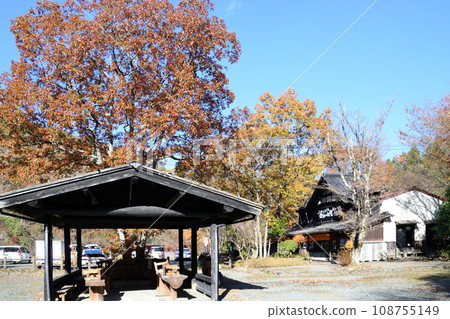 Autumn leaves in Amagatani Valley 108755149