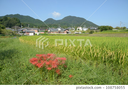 Taima Temple, Mount Nijo, Taima, Katsuragi City, Nara Prefecture 108758055