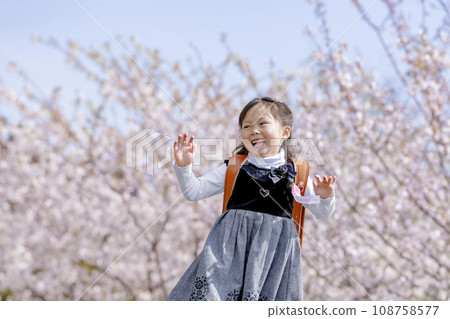 背著書包的一年級學生走過櫻花盛開的公園 108758577