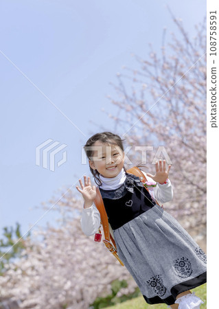 背著書包的一年級學生走過櫻花盛開的公園 108758591