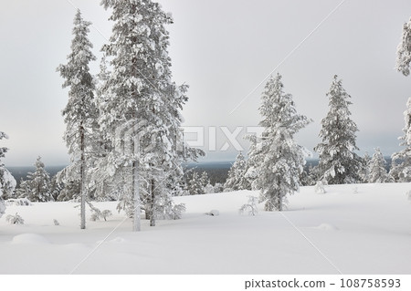 Winter Snowy Landscape, Northern Finland 108758593