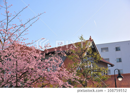 [愛知縣] 名古屋市容東區泉岡櫻綠樹成蔭大道 108759552