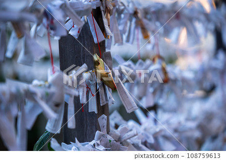 Omikuji 綁 Omikuji 綁 108759613