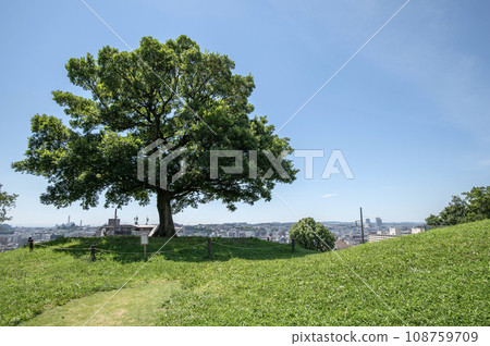 清水丘公園 橫濱市南區清水丘 清水丘公園 橫濱市南區清水丘 108759709