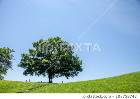 清水丘公園 橫濱市南區清水丘 108759748
