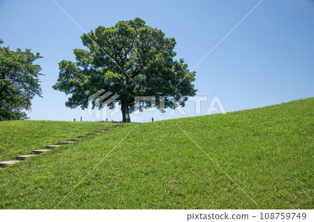 Shimizugaoka Park Shimizugaoka, Minami Ward, Yokohama City 108759749