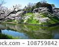 Cherry blossoms at Chidorigafuchi 108759842