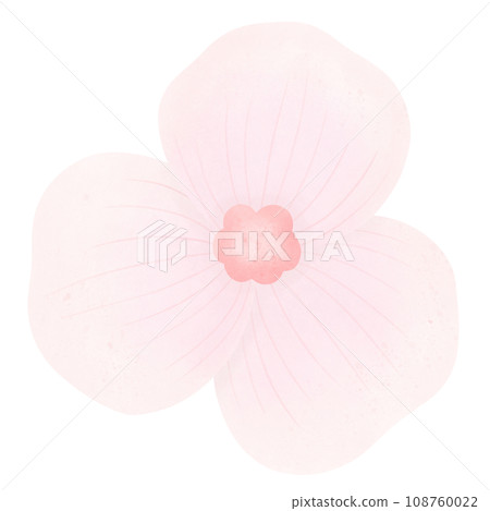 pink flower blossom pink flower blossom 108760022