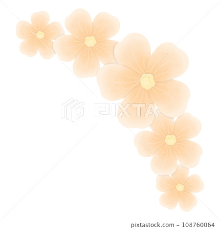 orange flower blossom orange flower blossom 108760064
