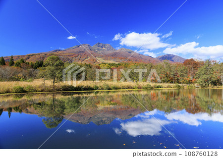 新潟妙高高原伊森池秋葉 新潟妙高高原伊森池秋葉 108760128