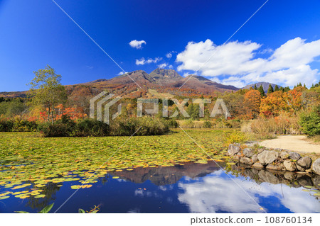 Niigata Myoko Kogen Imori Pond Autumn leaves Niigata Myoko Kogen Imori Pond Autumn leaves 108760134