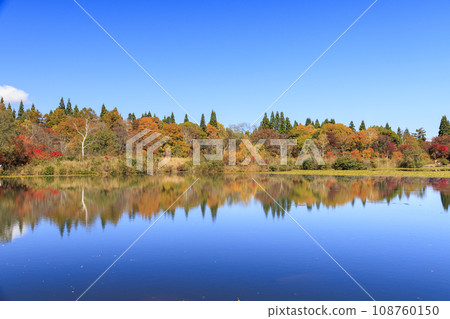 Niigata Myoko Kogen Imori Pond Autumn leaves 108760150