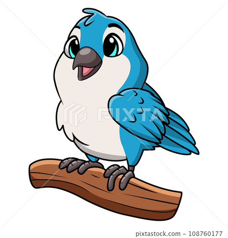 Cute blue jay cartoon on white background Cute blue jay cartoon on white background 108760177