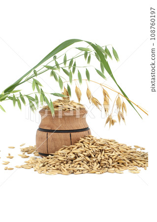Whole oat grain seeds with hulls isolated on white Whole oat grain seeds with hulls isolated on white 108760197